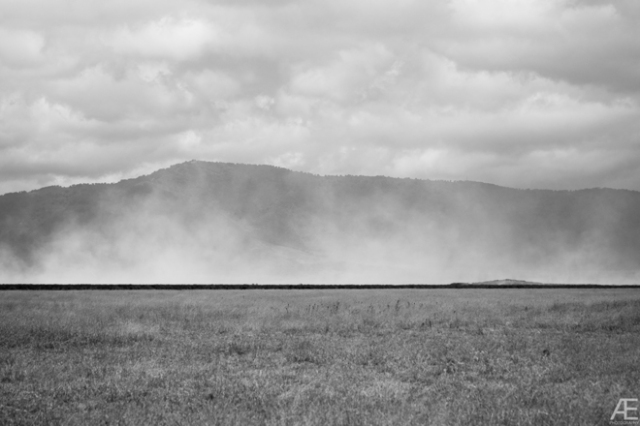 Ngorongoro---Dust-Devil-II